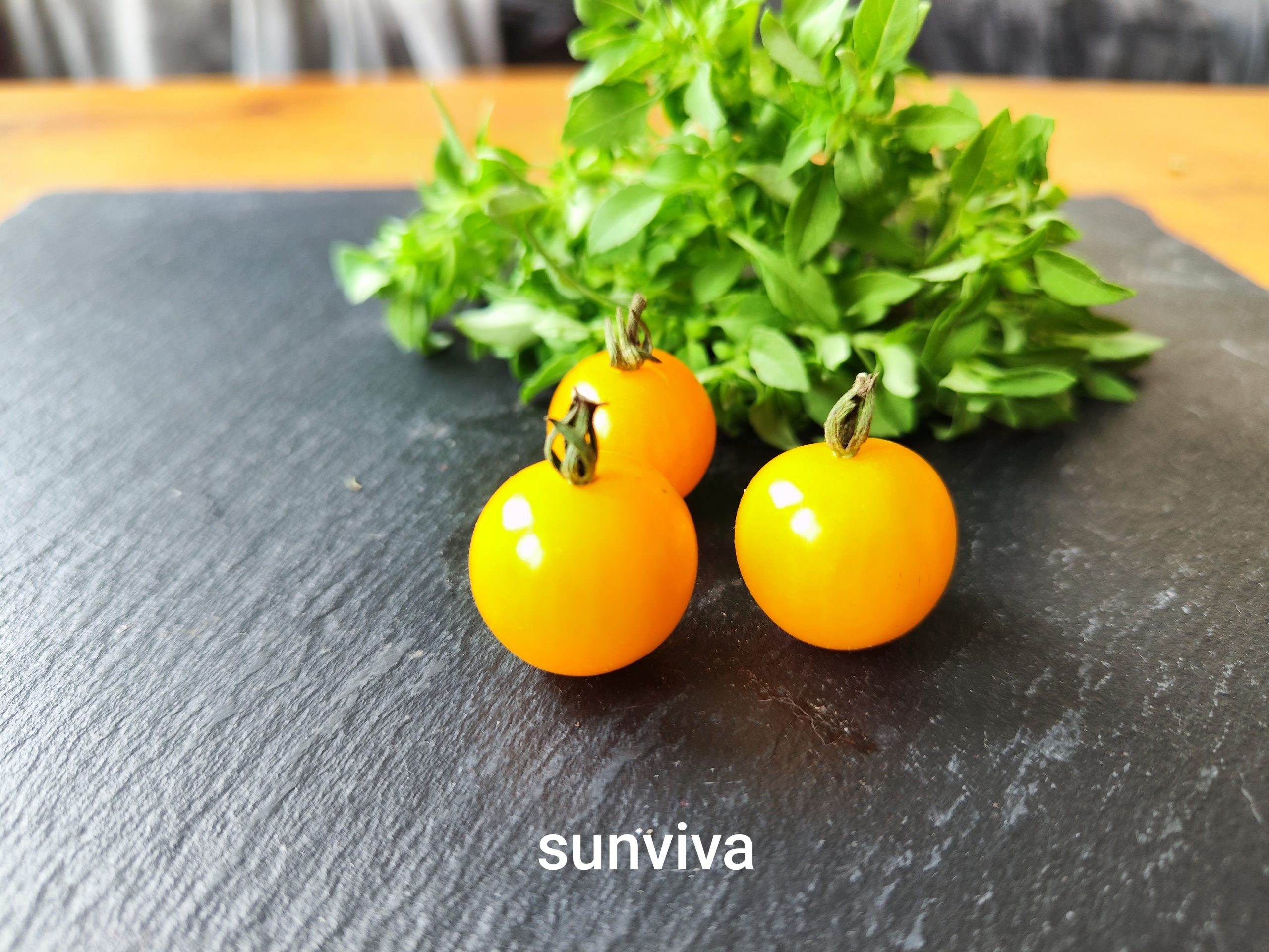 Sunviva