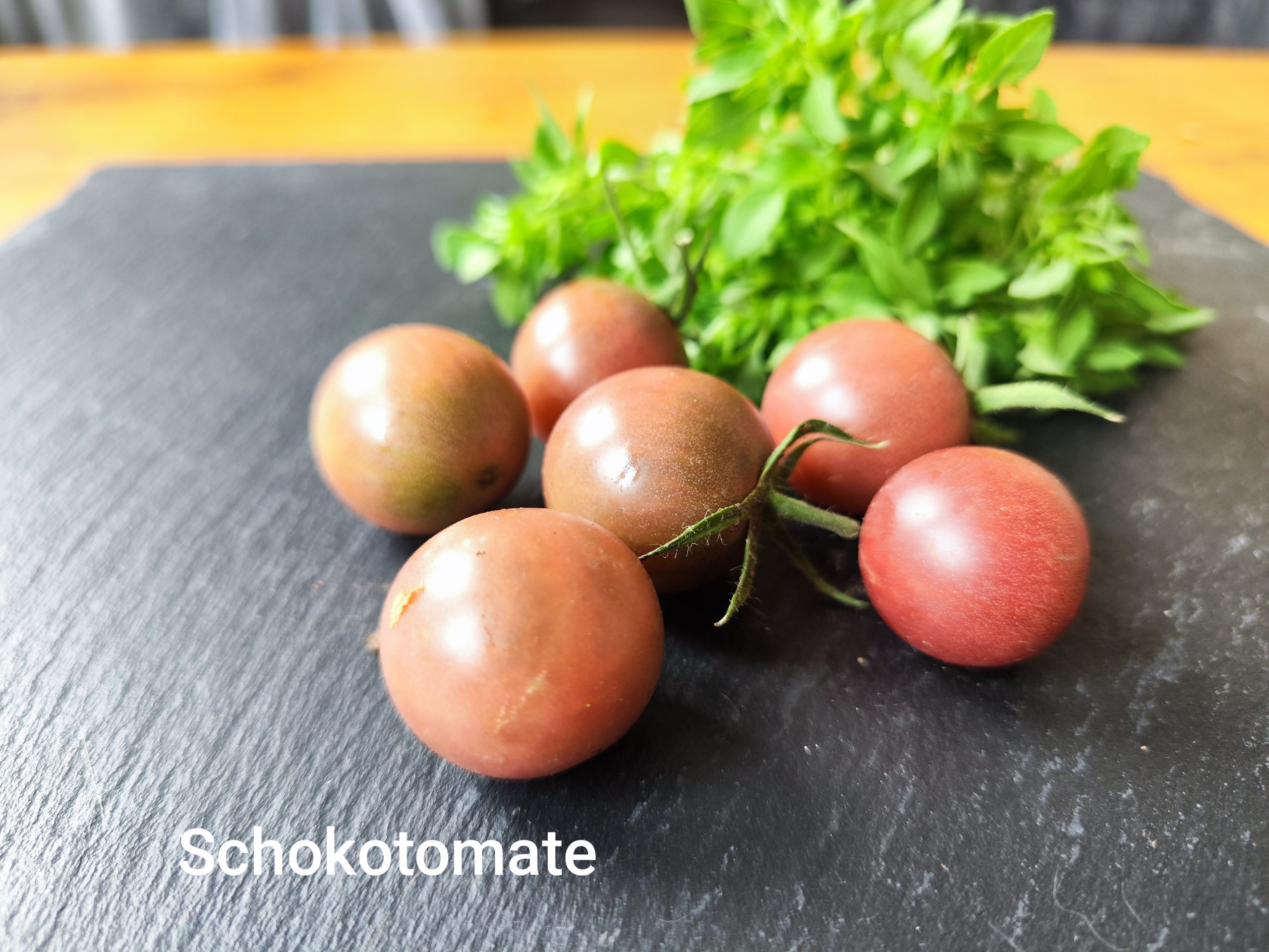 Sacher Schoko Tomate