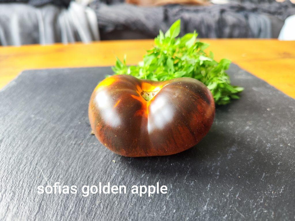 Sofias Golden Apple