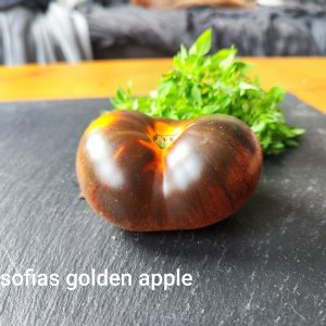 Sofias Golden Apple