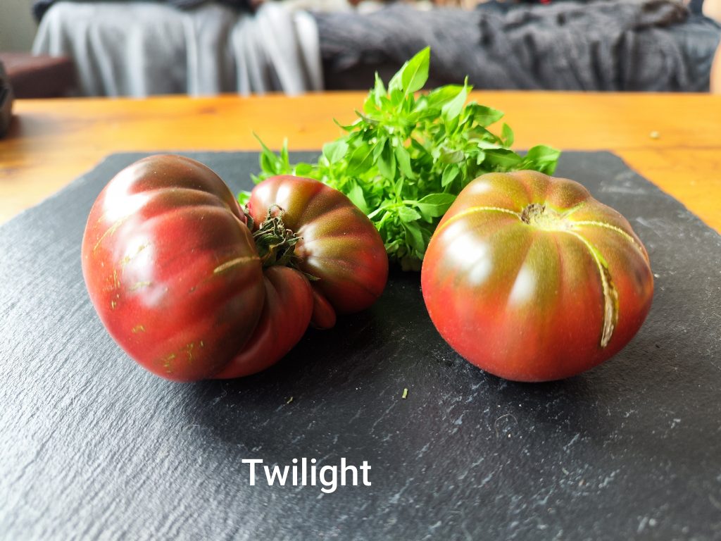 Twilight