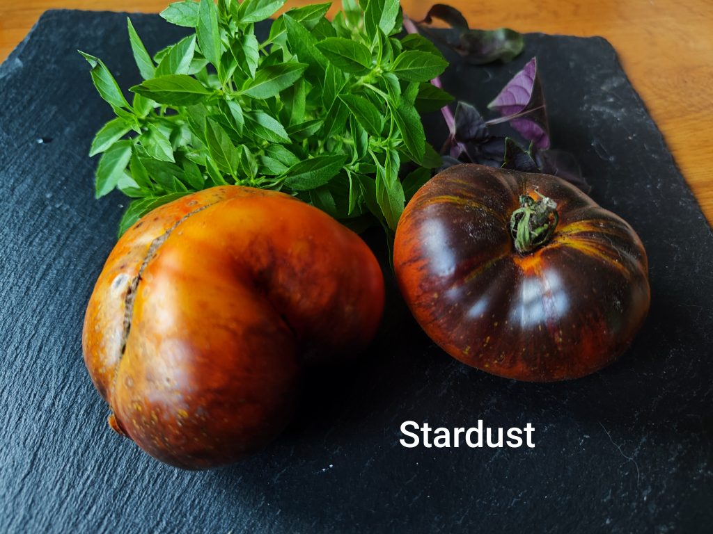 Stardust
