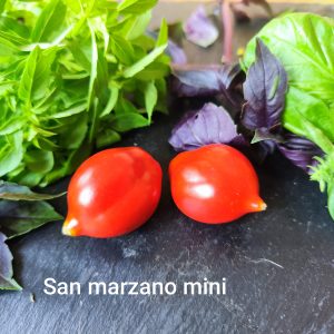 San Marzano mini