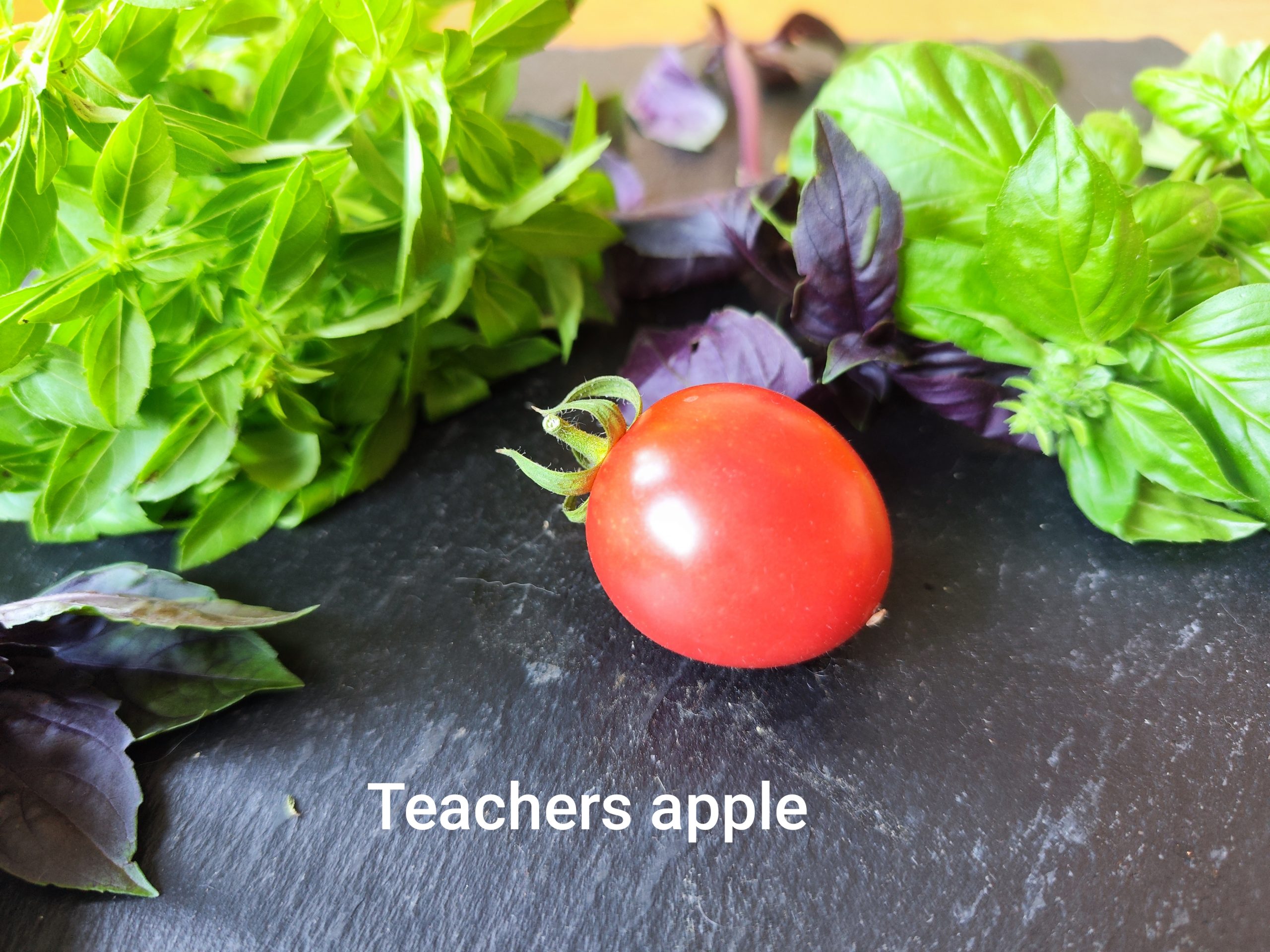 Teachers Apple