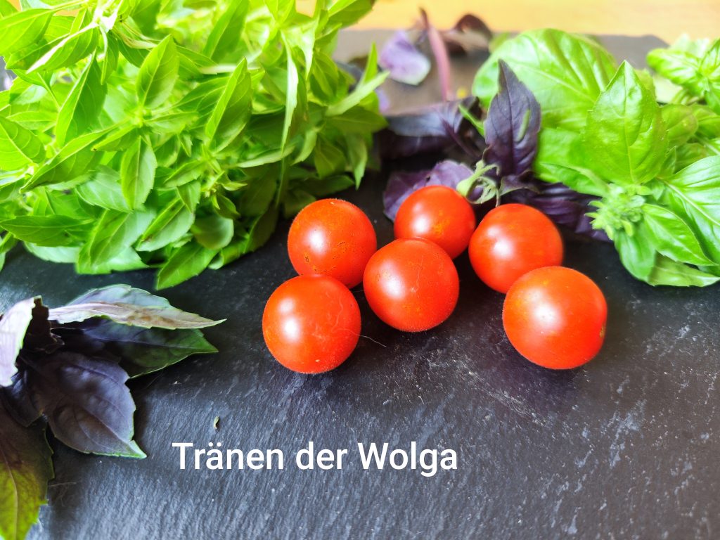 Tränen der Wolga