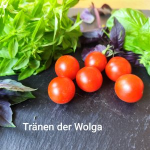 Tränen der Wolga
