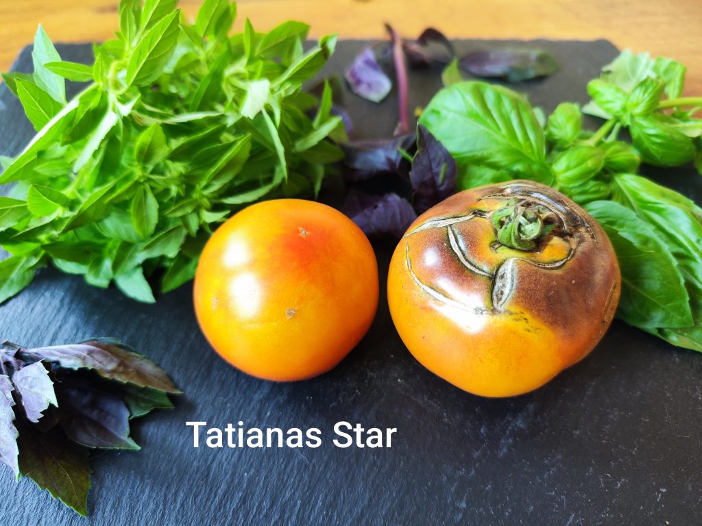 Tatianas Star