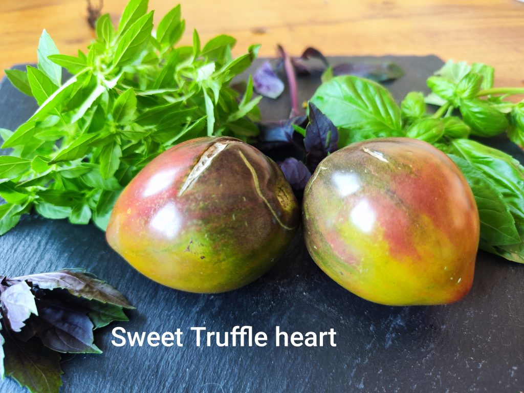 Sweet truffle Heart
