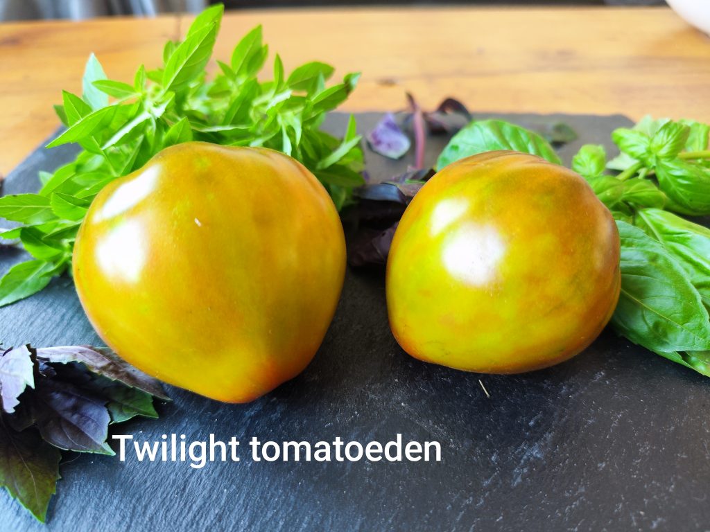Twilight 2 (von Tomatoeden)