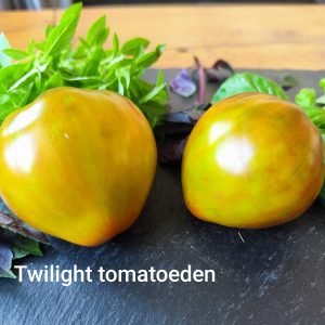 Twilight 2 (von Tomatoeden)