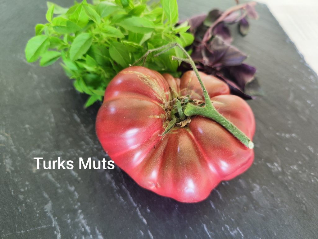 Turks muts