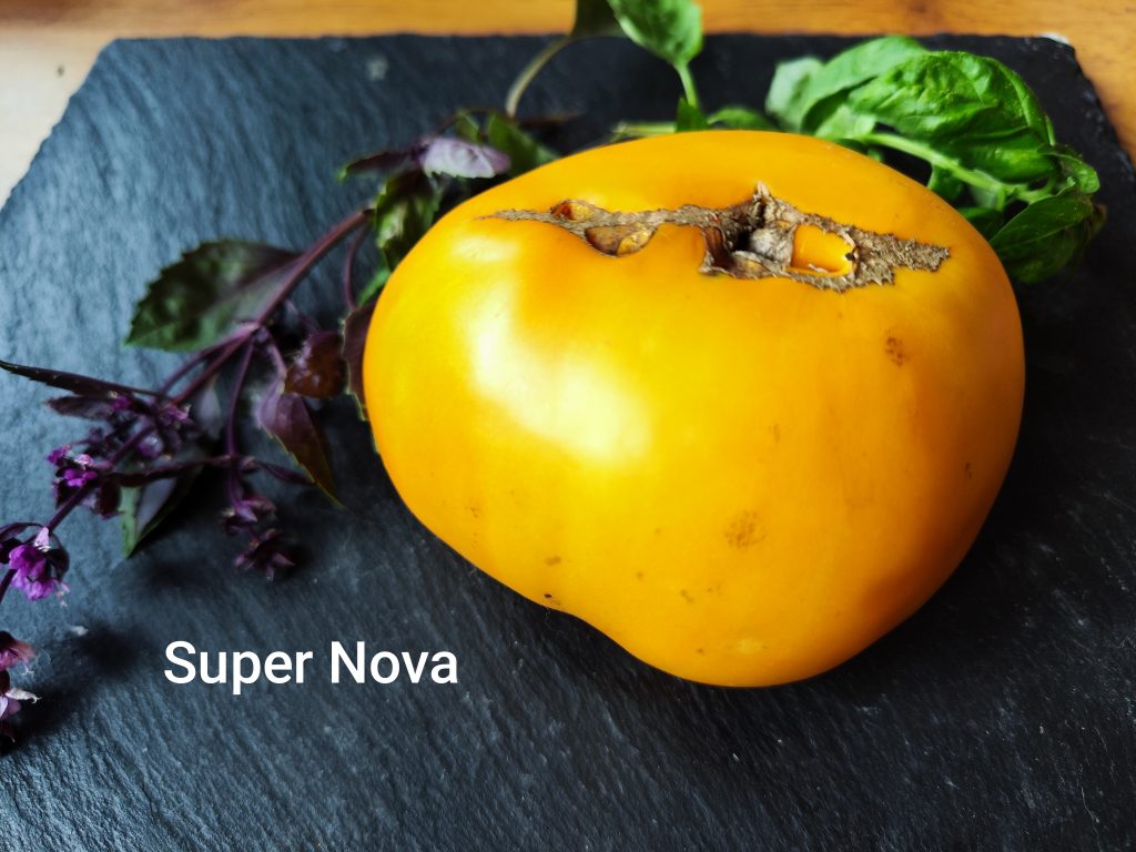 Super Nova