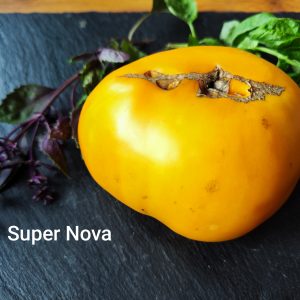 Super Nova