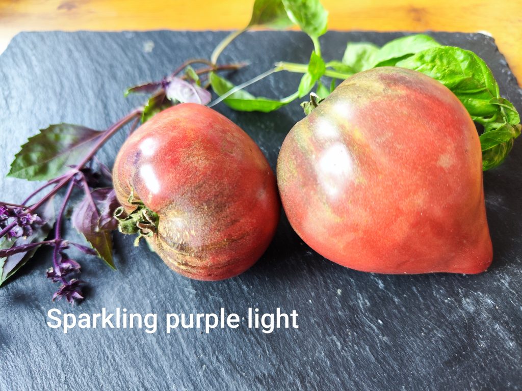 Sparkling purple light