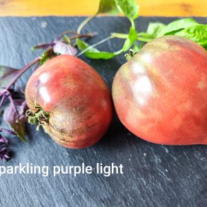 Sparkling purple light