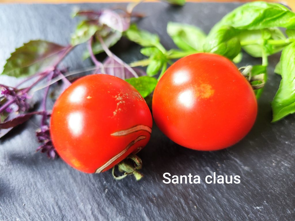 Santa Claus
