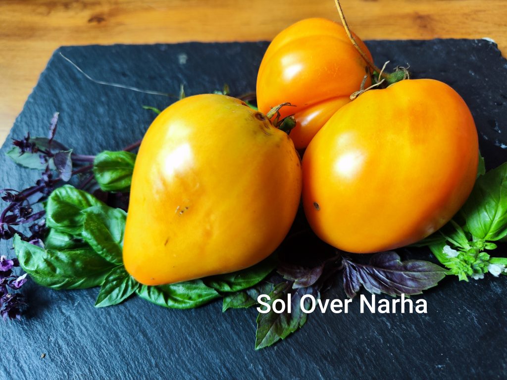Sol over Narha