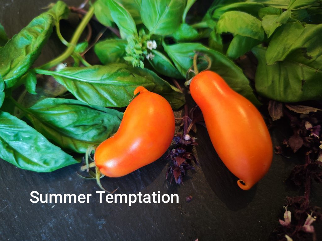 Summer temptation