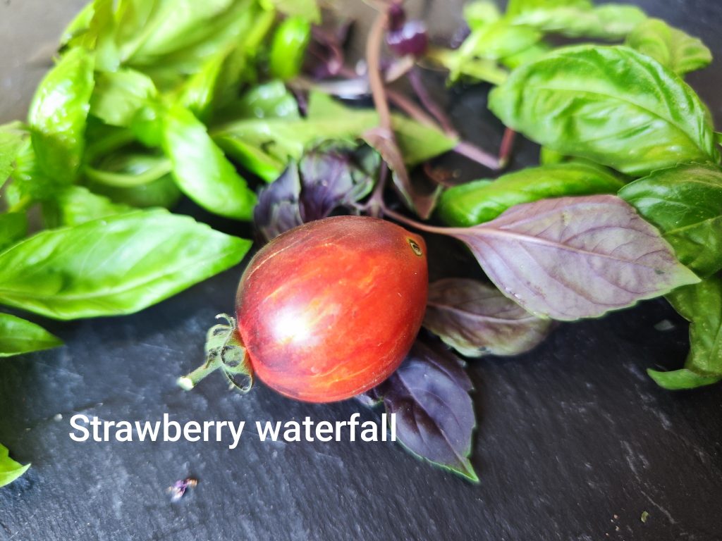 Strawberry waterfall