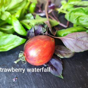 Strawberry waterfall