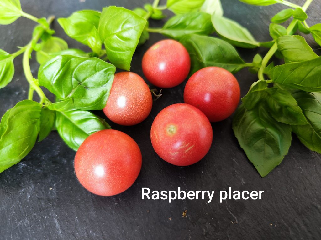 Raspberry Placer