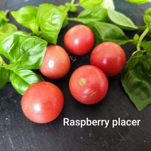 Raspberry Placer