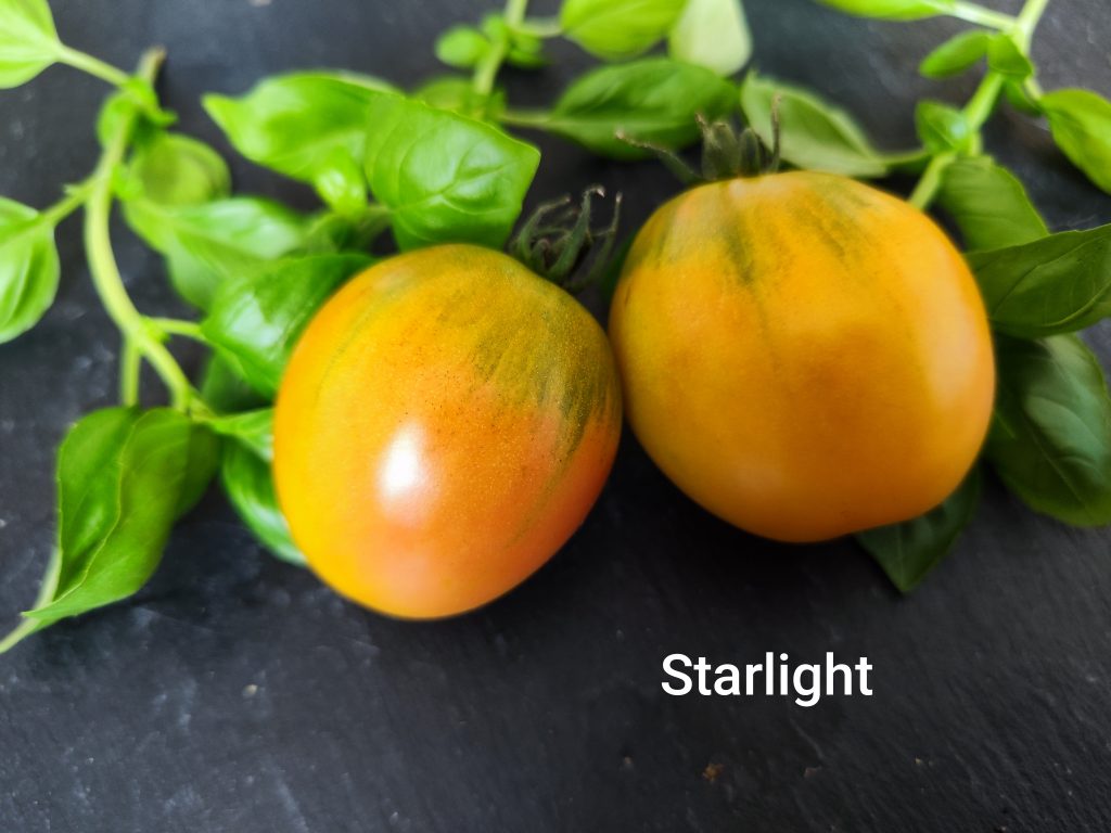 Starlight