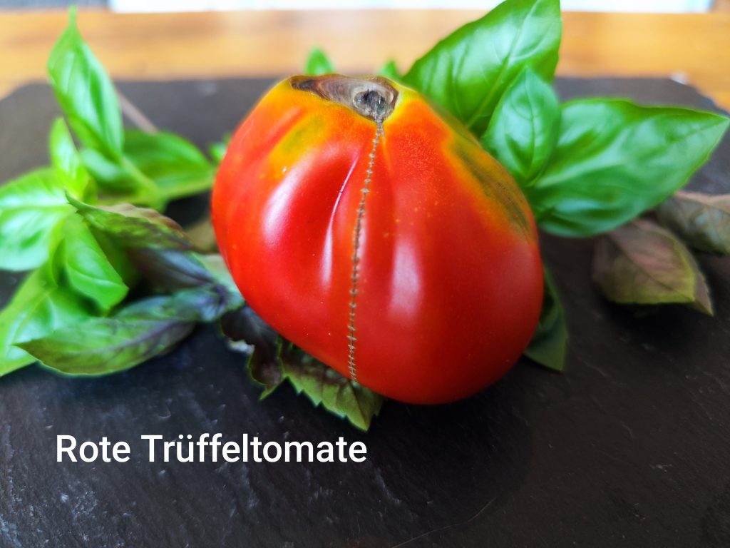 Rote Trüffeltomate
