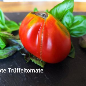 Rote Trüffeltomate