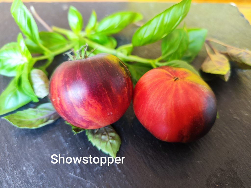 Showstopper