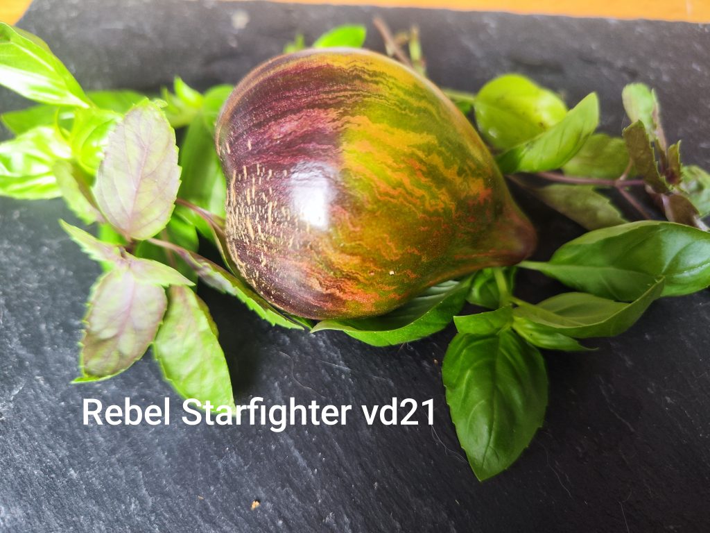 Rebel Starfighter VD 21