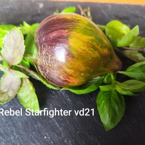 Rebel Starfighter VD 21