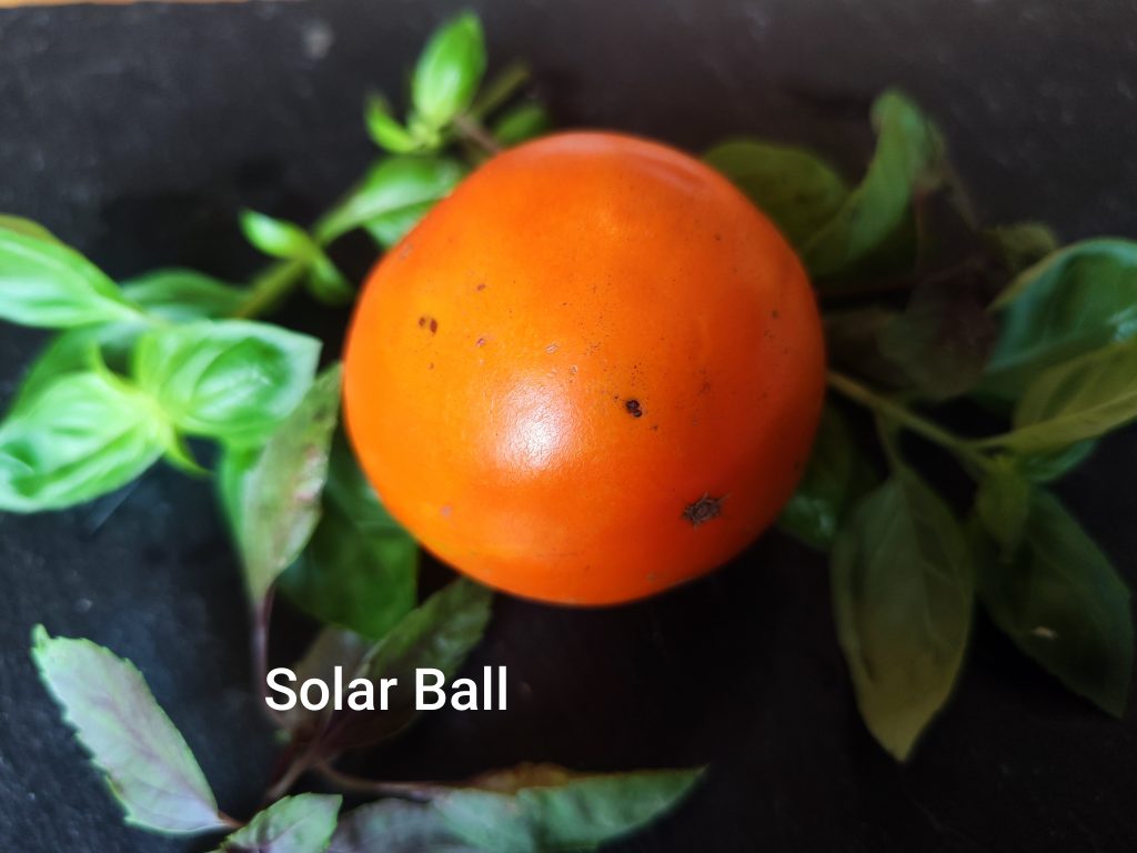 Solar Ball
