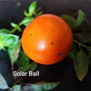 Solar Ball