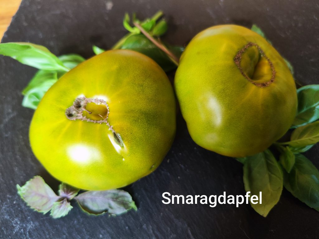 Smaragdapfel