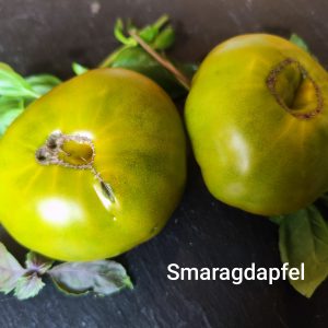 Smaragdapfel