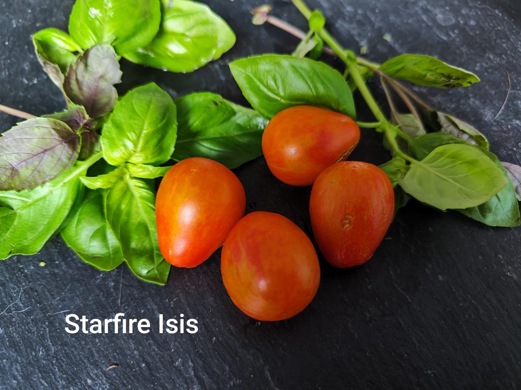 Starfire Isis