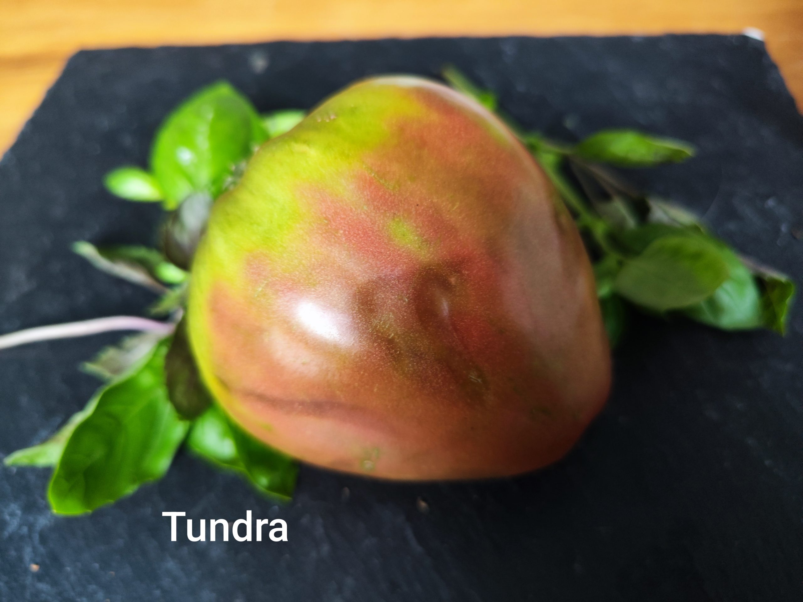 Tundra
