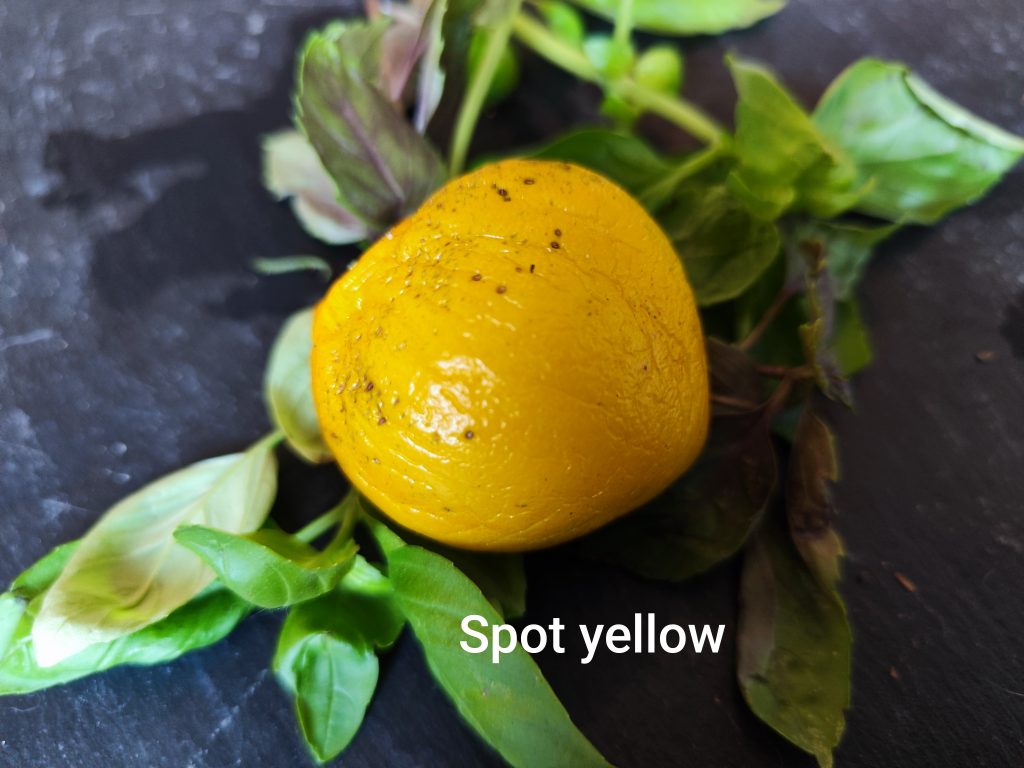 Spot yellow