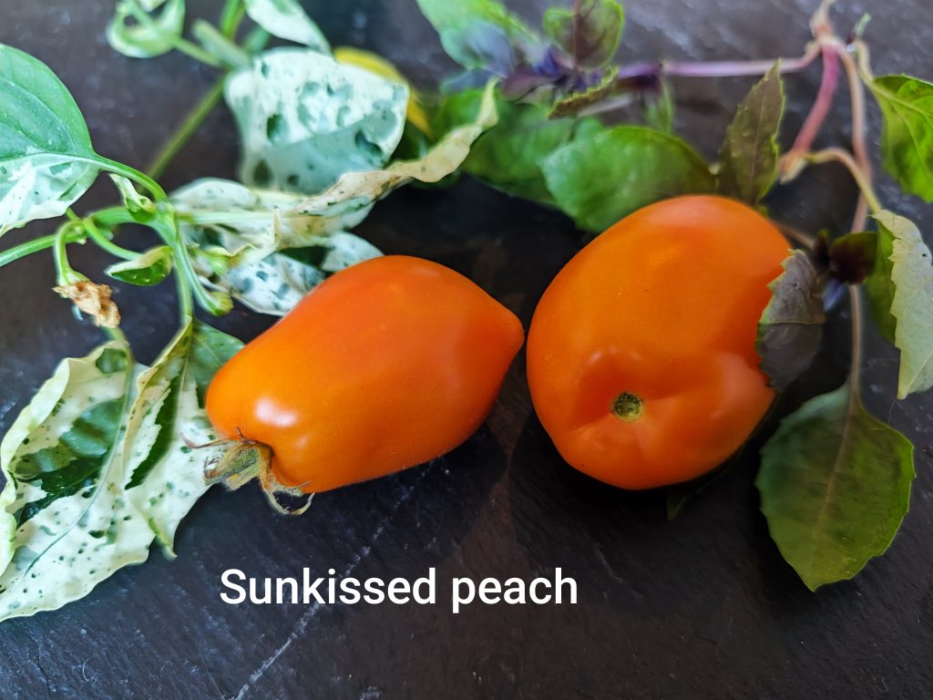 Sunkissed peach