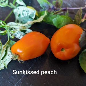 Sunkissed peach