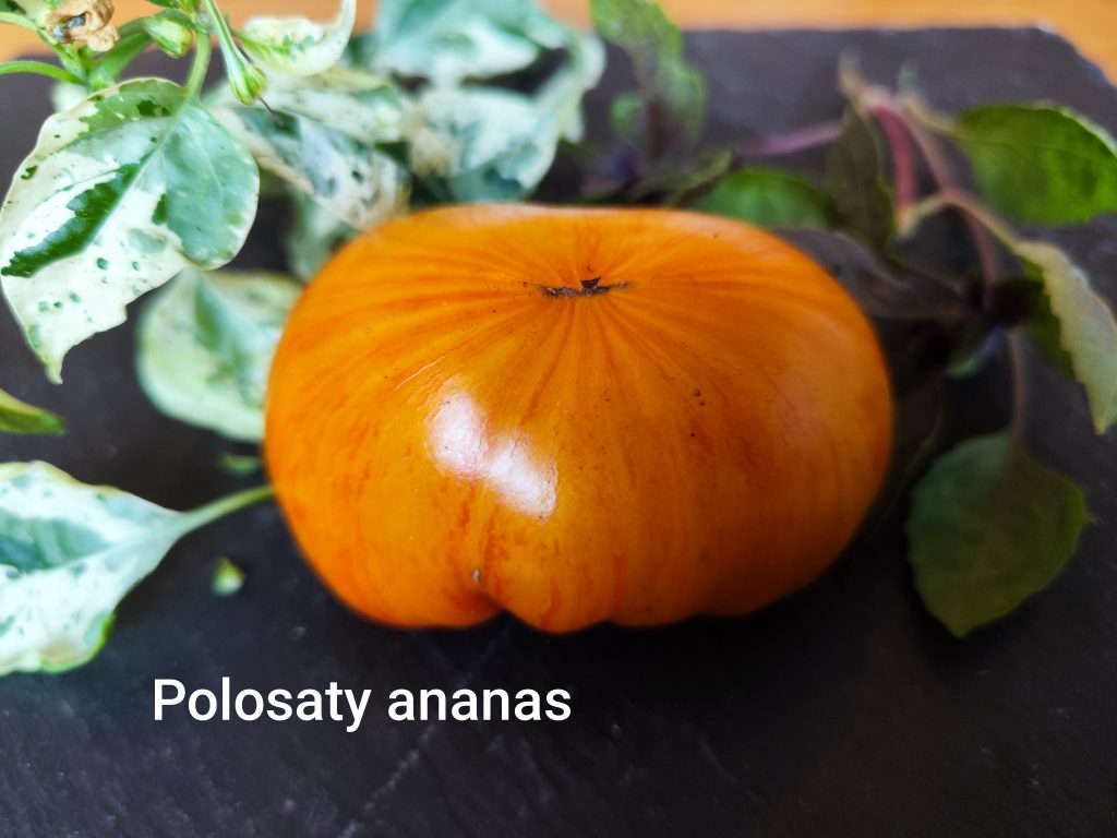 Polosaty Ananas