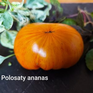 Polosaty Ananas