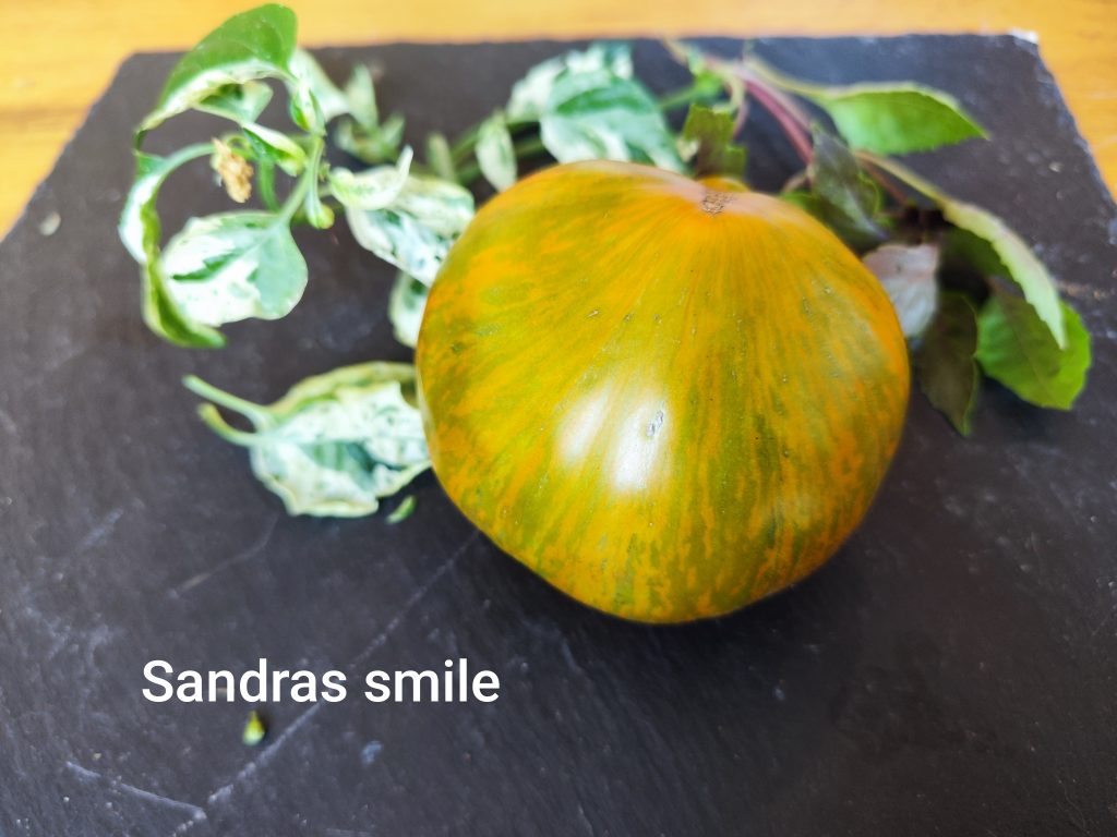 Sandras smile