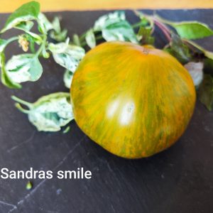 Sandras smile