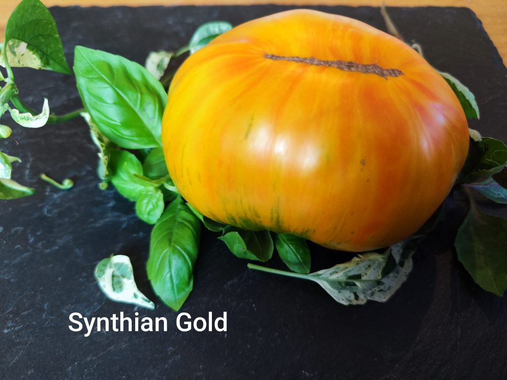 SCYTHIAN GOLD