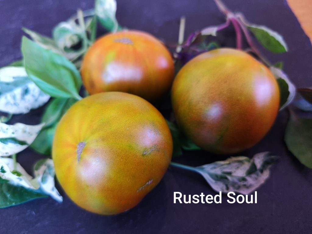 Rusted Soul
