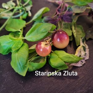 Starinska Zuta
