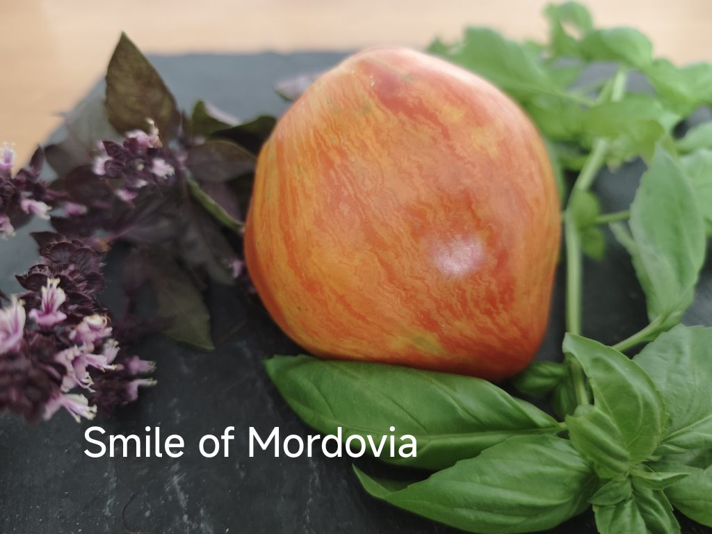 Smile of Mordovia