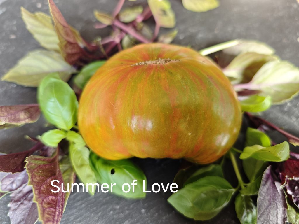 Summer of Love